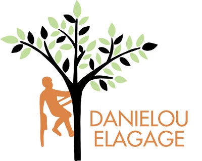 Logo Danielou Elagage